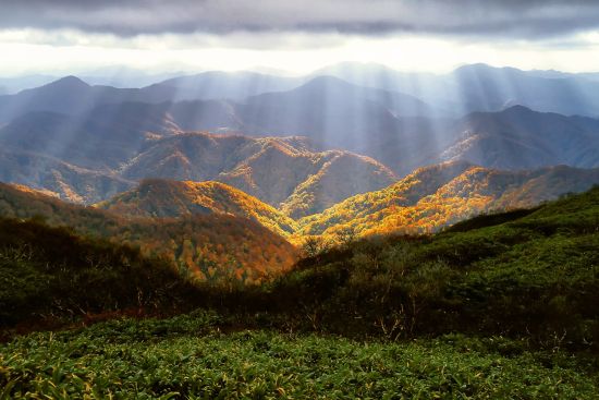 Image for Exploring Fall Colors in The Smoky Mountains OR Lowest Rate with Perfect Weather at the Beach-Your Choice