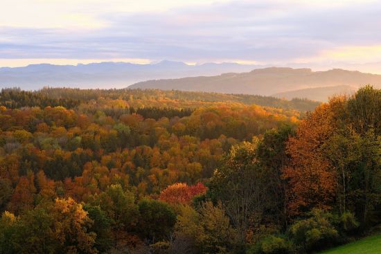 Image for Discover the Magic of Autumn: A Guide to Fall Foliage in the Smoky Mountains