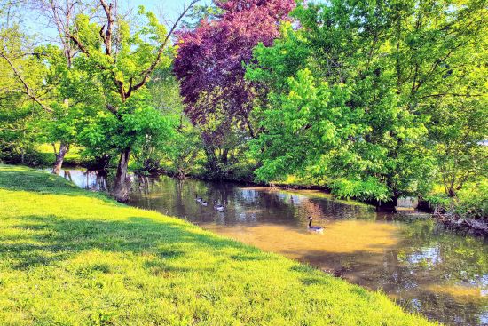 Image for Enjoy Staying at Mountain Stream with a Spacious Yard and Hot Tub beside the Calming Stream